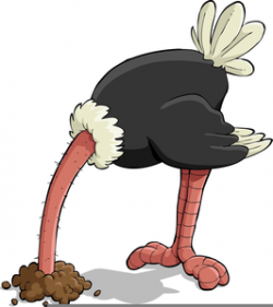 Head In Sand Ostrich Clipart | Free Images at Clker.com ...