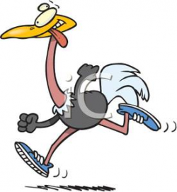 An Ostrich In Running Shoes - Royalty Free Clipart Picture