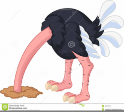 Free Clipart Ostrich Head Sand | Free Images at Clker.com ...