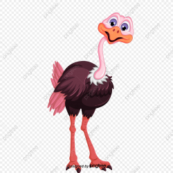 Ostrich Animal, Animal Vector, Ostrich, Animal PNG and ...