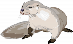 28+ Collection of Otter Clipart Png | High quality, free cliparts ...