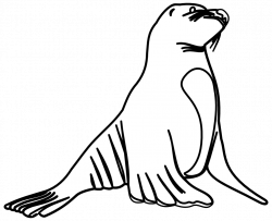 Elegant Of Sea Lion Clipart Black And White | Letters Format
