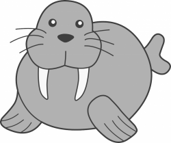 Walrus clipart free clipart images 2 - WikiClipArt