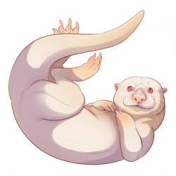 Albino otter companion by Shivali-Lorekeeper on DeviantArt