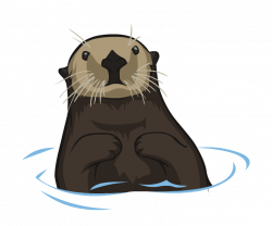 Otter PNG Clipart | PNG Mart