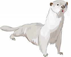 Free Otter Clipart