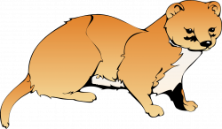 Weasel Clipart | Clipart Panda - Free Clipart Images
