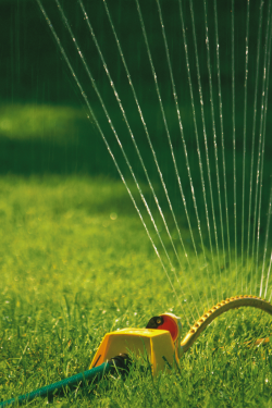 When Can You Stop Watering New Sod? | Home Guides | SF Gate