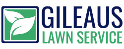 Lawn Care & Maintenance, Mowing & Weed Control, Mulching, Pruning ...