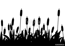 Black silhouette. Reeds in black grass. Reed plant. Green ...