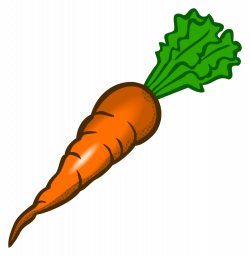 Clipart - carrot - coloured