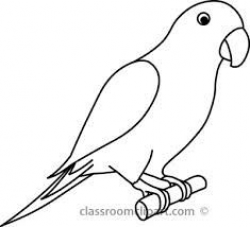 bird outline drawing - Google Search | Birds and Bird ...
