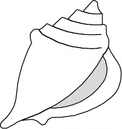 Shell Template - ClipArt Best | sewing: applique | Seashell ...
