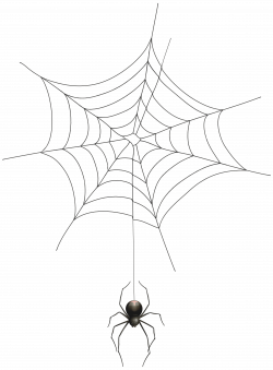 28+ Collection of Spider Web Drawing Png | High quality, free ...