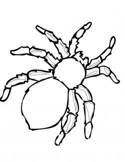 Free Spider Web Outline, Download Free Clip Art, Free Clip ...
