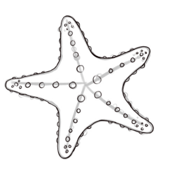 Starfish clipart outline - Clip Art Library