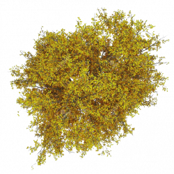 Pin by 虎牙子 董 on LA Materials | Pinterest | Photoshop ...