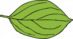 Clipart - oval leaf 2