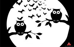 Bats And Owls Clipart