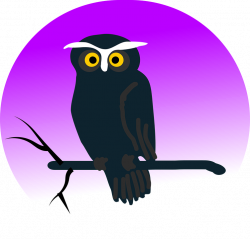 Teal Owl Cliparts#4031516 - Shop of Clipart Library