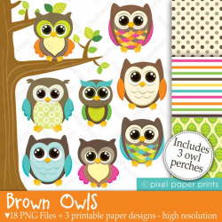 Brown Owls - Clip art and Digital paper set - Owl clipart