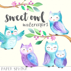 Watercolor Owls Clipart Cute Baby Owls Baby Shower Nursery ...