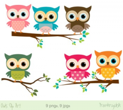 Cute owls clipart, Digital owls on branches, Colorful rainbow owls clip art
