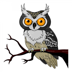 cartoon owl Clipart owl cartoon free vector design woodland ...