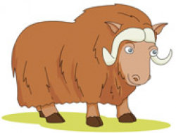 Musk Ox Clipart Hits: 596 | Clipart Panda - Free Clipart Images