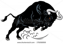angry bull, attacking pose, image isolated on white ...
