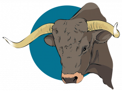 Texas Longhorn Brahman cattle Ox Goat Clip art - bull png ...