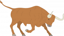 Angry Charge Bull Horns Animal PNG Image - Picpng