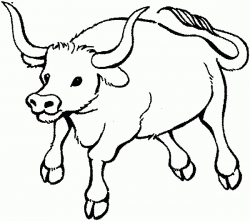 Ox drawing free download on ayoqq cliparts