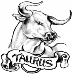 Taurus Tattoos Designs | TATTOO | Pinterest | Google, Toros y Tauro