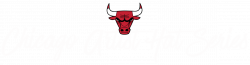 Chicago Artist Hat Series | Chicago Bulls