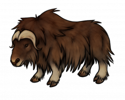 Musk Ox Drawing at GetDrawings.com | Free for personal use Musk Ox ...