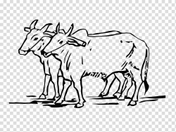 Ox Cattle Drawing Line art Do Bailon Ki Katha, ox ...