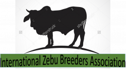 IZBA – International Zebu Breeders Association