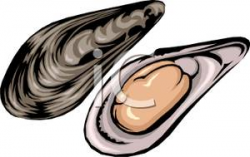 Oyster Clip Art Free | Clipart Panda - Free Clipart Images