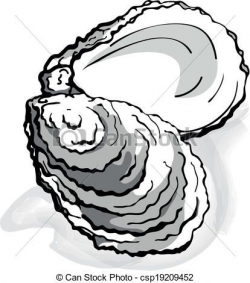 28+ Collection of Oyster Shell Clipart ... | Oysters in 2019 ...
