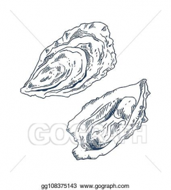 EPS Illustration - Seafood delicacy bivalve clam oyster ...