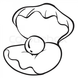 Oyster Shell Drawing at GetDrawings.com | Free for personal ...