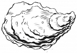 Oyster Drawing at GetDrawings.com | Free for personal use Oyster ...