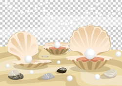 Oyster Clam Pearl Seashell PNG, Clipart, Birthstone, Clam ...