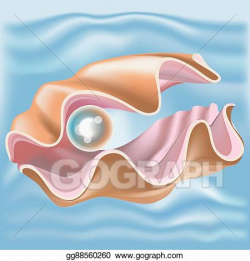 EPS Illustration - Open oyster with pearl isolated. Vector ...