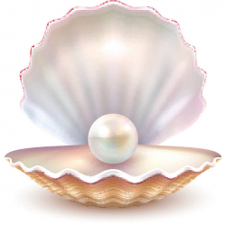 Oyster with pearl clipart 2 » Clipart Station