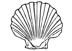 Download sea shell clip art clipart Seashell Oyster Clip art