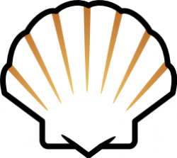 Oyster shell clip art - Clip Art Library