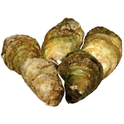 OYSTER 100 CT - BEAU SOLEIL CASE - Seafood Online Canada