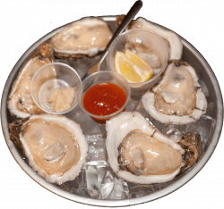 Krave Seafood & Oyster Bar – Krave Live Music